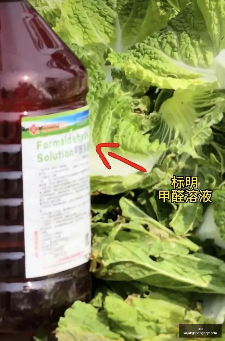 最新视角,青岛崂山啤,酒与山西汾,太阳城,太阳城娱乐,太阳城app,太阳城赌场